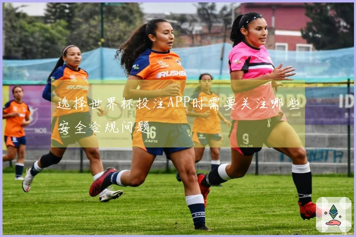 选择世界杯投注APP时需要关注哪些安全合规问题