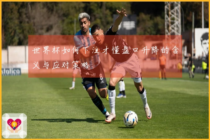 世界杯如何下注才懂盘口升降的含义与应对策略