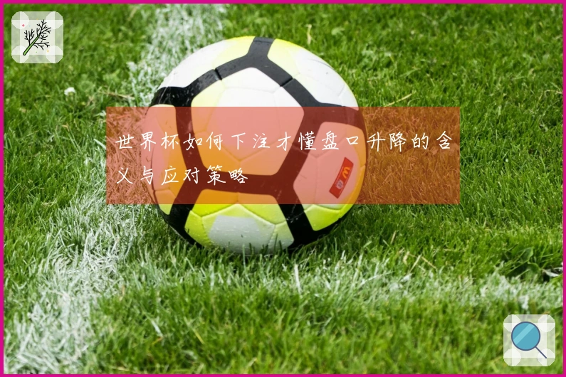 世界杯如何下注才懂盘口升降的含义与应对策略